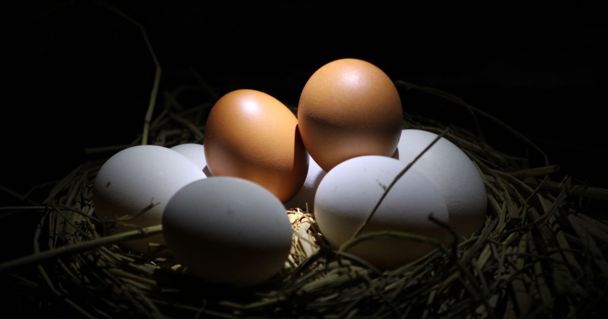 Eggs storage guide