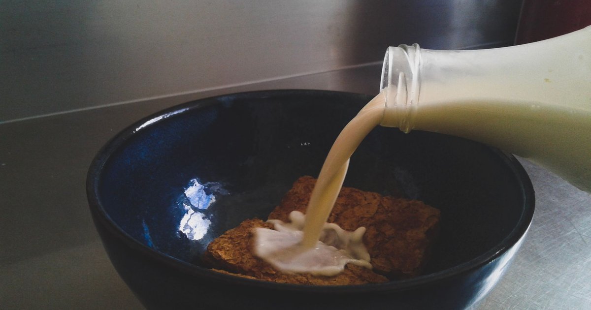 Dairy storage guide